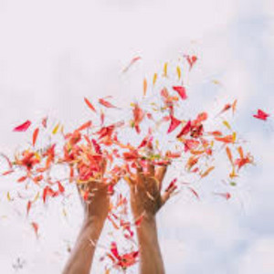 Wind in the Petals Part2 by KAQU MC