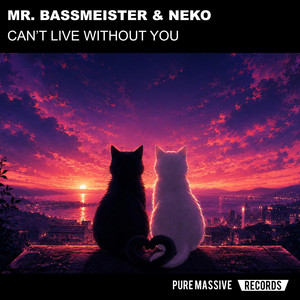 Can’t Live Without You - Extended Mix by Mr. Bassmeister, Neko