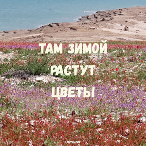 USTINOV — Там зимой растут цветы