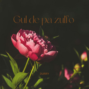 Gul De Pa Zulfo - Instrumental by Durry Adan