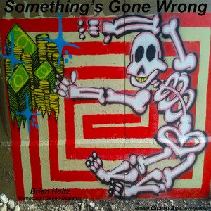 Something's Gone Wrong by Brian Holtz