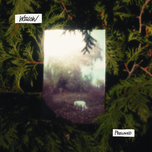 album cover: Willow