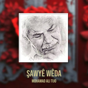 Mohamad Ali Tijo - Bilbil-Şawîyê