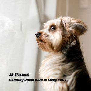 4 Paws: Calming Down Rain to Sleep Vol. 1 album