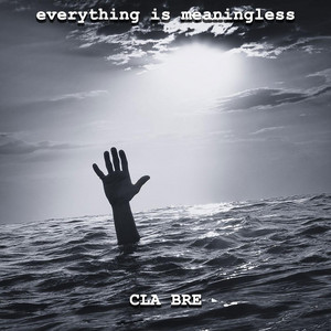 everything is meaningless by CLA BRE