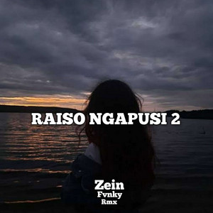 Zein Fvnky Rmx - Raiso Ngapusi 2