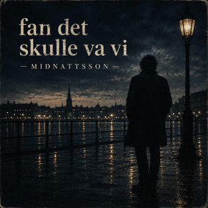 Fan det skulle va vi by Midnattsson