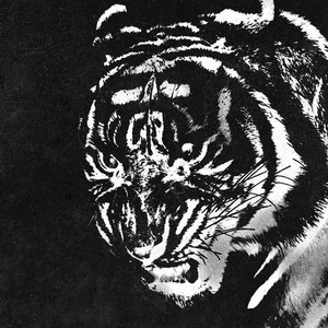 TIGER by fractured