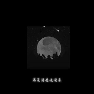 若月亮没来（DJ热播版） by 奇衡三, 王宇宙Leto