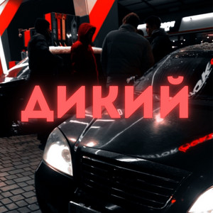 ДИКИЙ