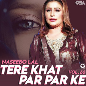 Naseebo Lal - Rabba Yaar Milade