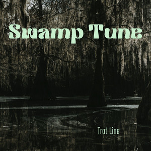 Swamp Tune artist photo