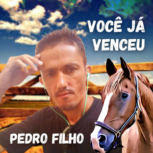 Você Já Venceu by Pedro Filho