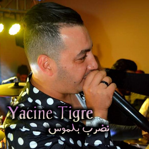 Yacine Tigre - نضرب بلموس