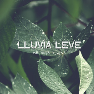 Lluvia Leve by Melodia Divina