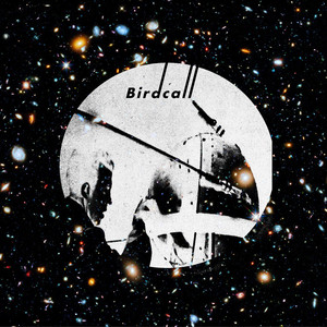 Birdcall - Single Version by Sputnik One