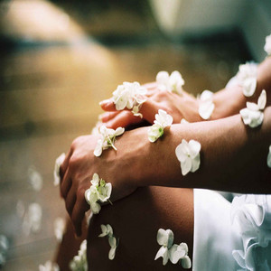 Feelings for Wellness Therapies album