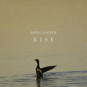 R I S E by Merganser