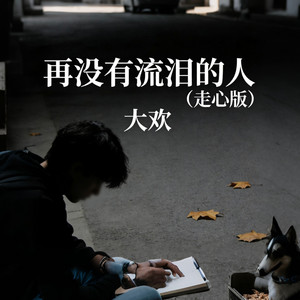 再没有流泪的人 - 走心版 by 大欢