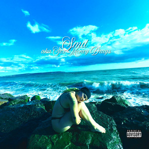 smd by Naomi Westlake