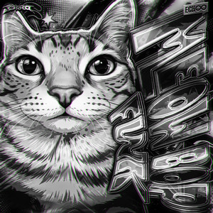 MEOW BOP FUNK - Ultra Slowed by DJ YBF, DJ LITE, SoulFusi, DJ CHANSEY, SLAVYAN13