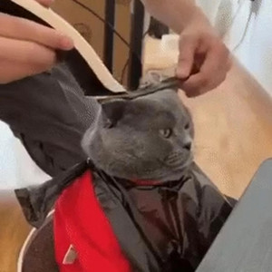 no better archive - where have u been