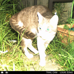 album cover: trail cam