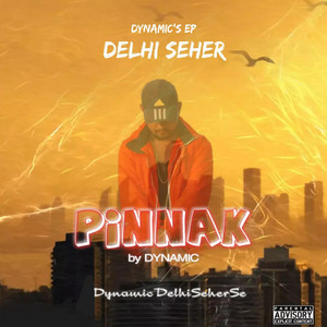 PINNAK — Dynamic
