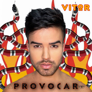 Portada de PROVOCAR