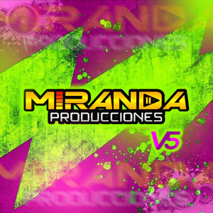 Miranda producciones - porta luva rave
