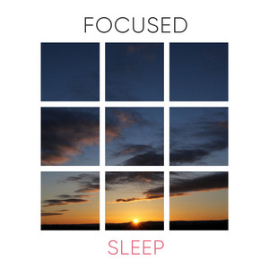 # 1 A 2019 Album: Focused Sleep album