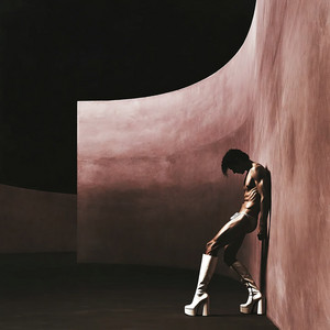 Portada de Fourteen Plastic Miracles