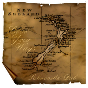 Love Your Ways - Paddy Free Radio Cut by Salmonella Dub