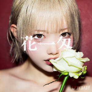 花一匁 by LADYBABY