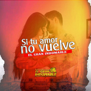 Si Tu Amor No Vuelve