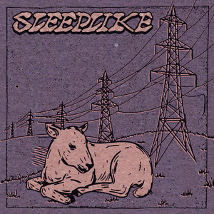 Sleeplike - Interlaced
