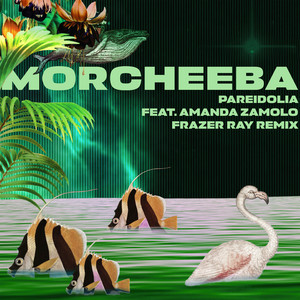 Pareidolia - Frazer Ray Remix Instrumental by Morcheeba, Amanda Zamolo, Frazer Ray