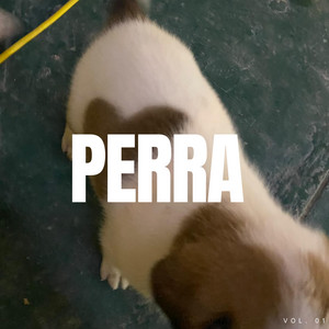 PERRA by qmierdka