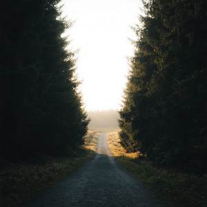 I Found My Way by OROZCO ALEJANDRO DAS