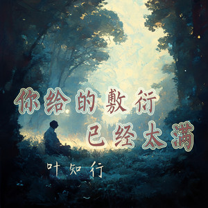 你给的敷衍已经太满 - 夜晚版 by 叶知行