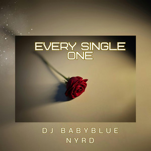 Every Single One by Dj Babyblue NYRD
