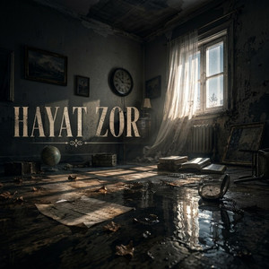Hayat Zor by Mavi Dize Ai