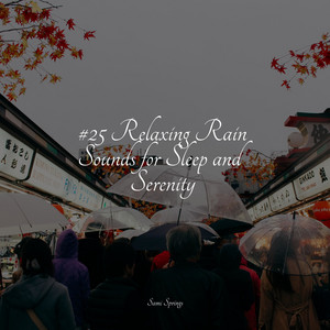 #25 Relaxing Rain Sounds for Sleep and Serenity album