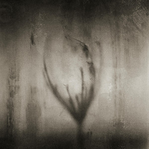 Reclaim by Sangham