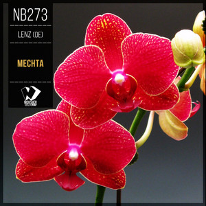 Mechta - Original Mix by Lenz (DE)