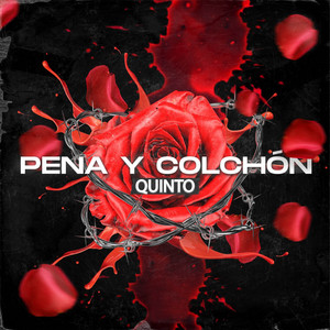 Pena y Colchón by Quinto
