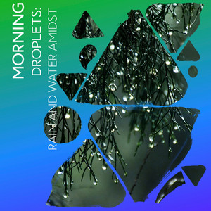 zZz Morning Droplets: Rain and Water Amidst the Plains zZz album