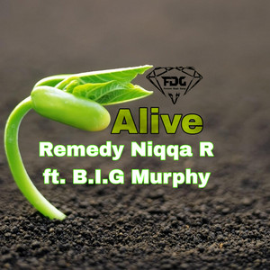 Alive by Remedy Niqqa R, B.I.G Murphy