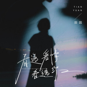 看透爱情看透你 - DJ粤A版 by 田园
