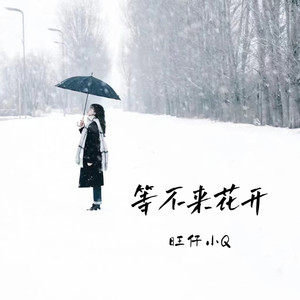 等不来花开 (女声版) - 伴奏 by 旺仔小Q